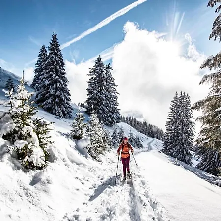 In Portes Du Soleil Near Gondola *